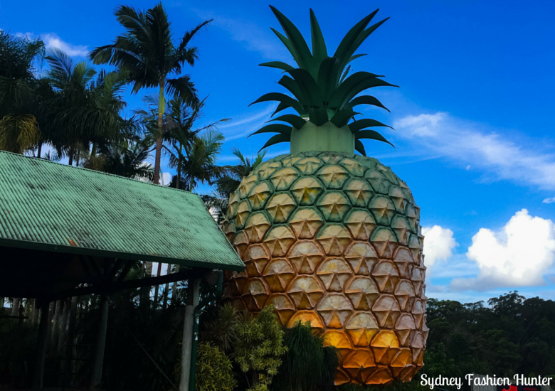 Sydney Fashion Hunter: Sunshine Coast Weekend - Big Pineapple