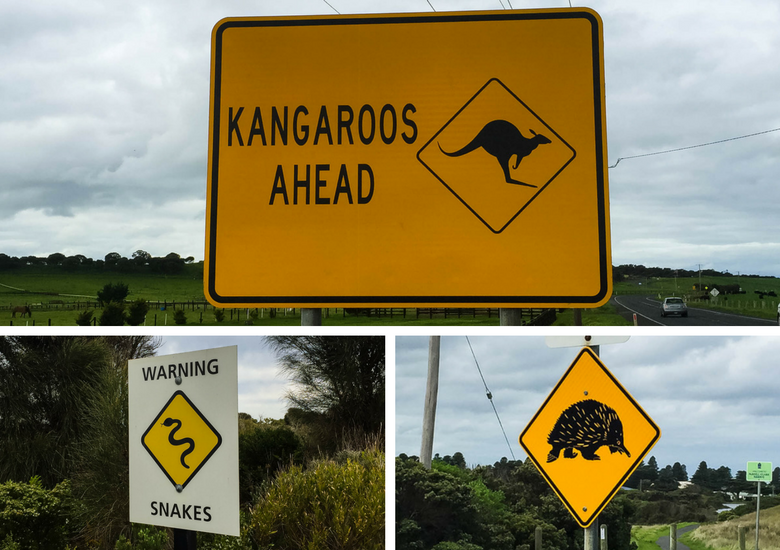 Fash Packing by SFH: Road Trippin' Australia's Iconic Great Ocean Road - Road Signs