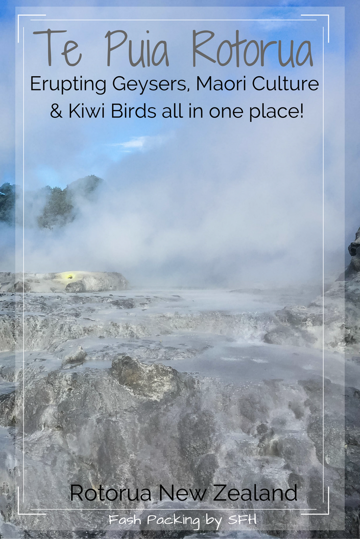 Te Puia Rotorua offers a bit of everything. Be awed by erupting geysers, catch a glimpse of a Kiwi bird and learn about rich Māori culture all in one place. Full review here
