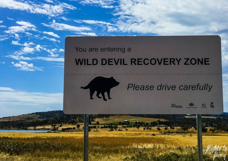Flights To Fancy: Tasmanian Road Trip - Tasmanian Devil Sign