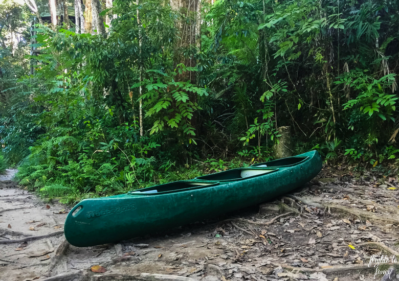 Flights To Fancy: Silky Oaks Lodge Mossman Queensland - Canoe