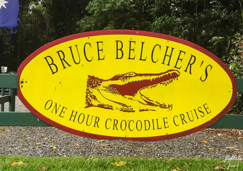 Bruce Belchers Daintree River Cruises - Daintree Tours & Croc Spotting In Tropical North Queensland
