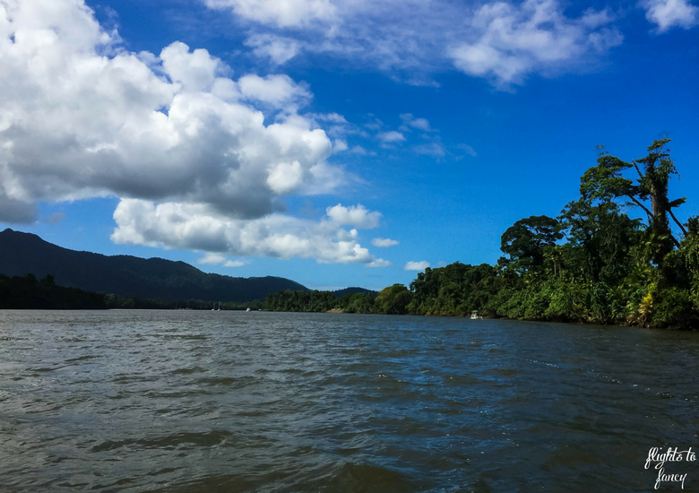 Flights To Fancy: Bruce Belchers Daintree River Cruises - Daintree River