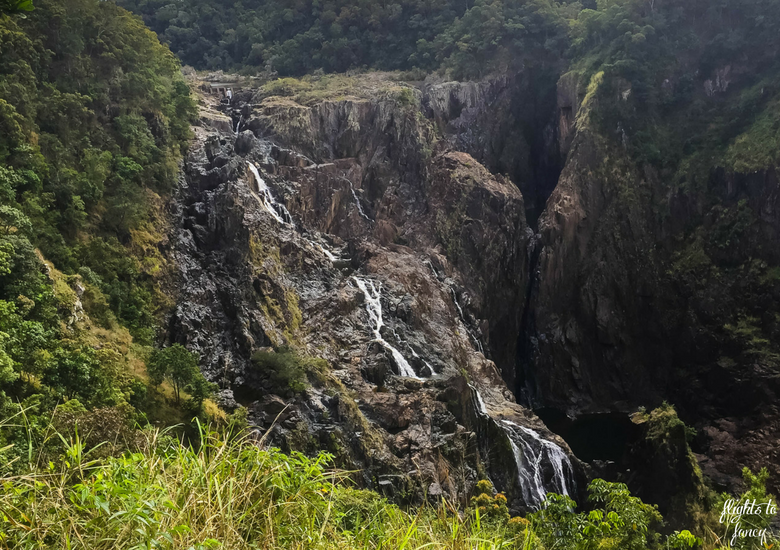 Flights To Fancy: Kuranda Scenic Railway Gold Class - Barron Falls