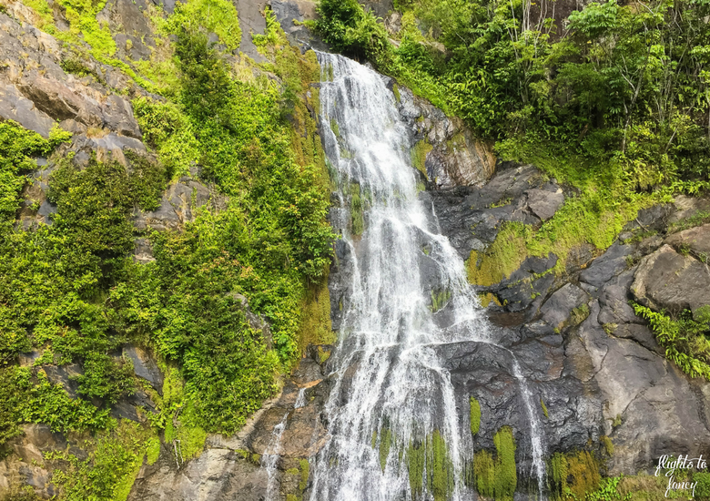 Flights To Fancy: Kuranda Scenic Railway Gold Class - Stony Creek Falls