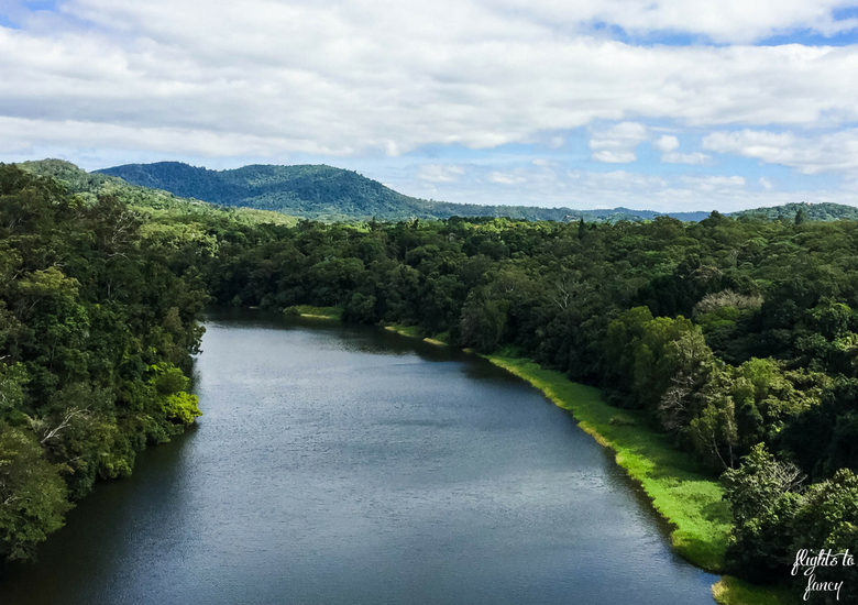 Flights To Fancy: Skyrail Rainforest Cableway Cairns - Barron River from Skyrail Cairns