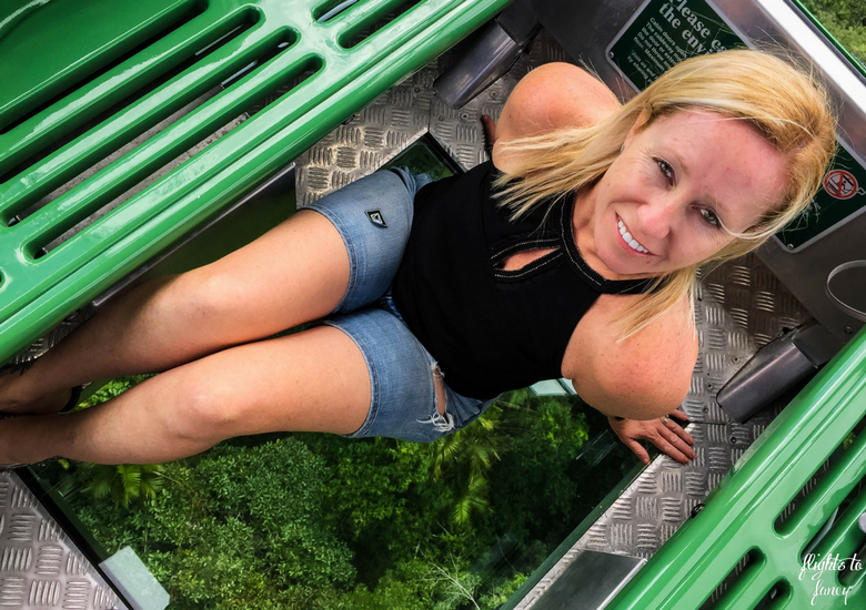 Flights To Fancy: Skyrail Rainforest Cableway Cairns - Glass Floor Cablecar