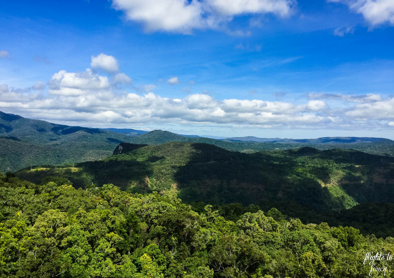 Flights To Fancy: Skyrail Rainforest Cableway Cairns - View From The Cablecar