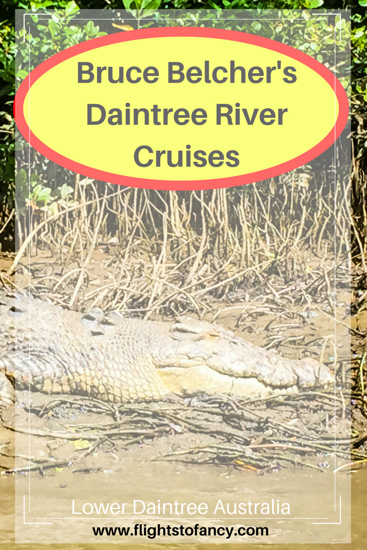 Not all Daintree tours are created equal. There is much to explore in Australia's stunning Tropical North Queensland and Bruce Belcher's Daintree River Cruises is the best Daintree crocodile cruise in the region. If you want to spot a saltie in the wild without becoming lunch, this one is for you!