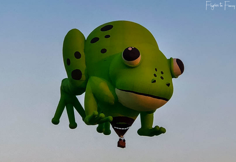 Canberra Balloon Festival Frog