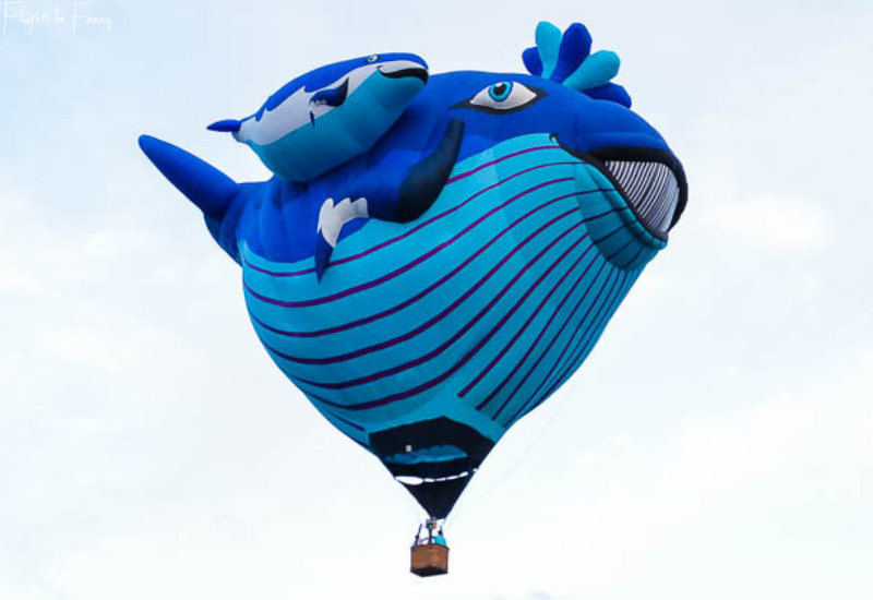 Canberra Balloon Festival - Whale