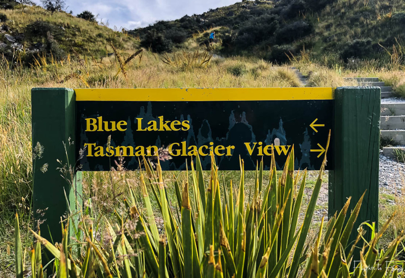 Mount Cook Walks: Tasman glacier walk