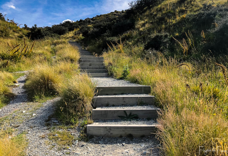 Mount Cook Walks: steps on the Tasman glacier walk