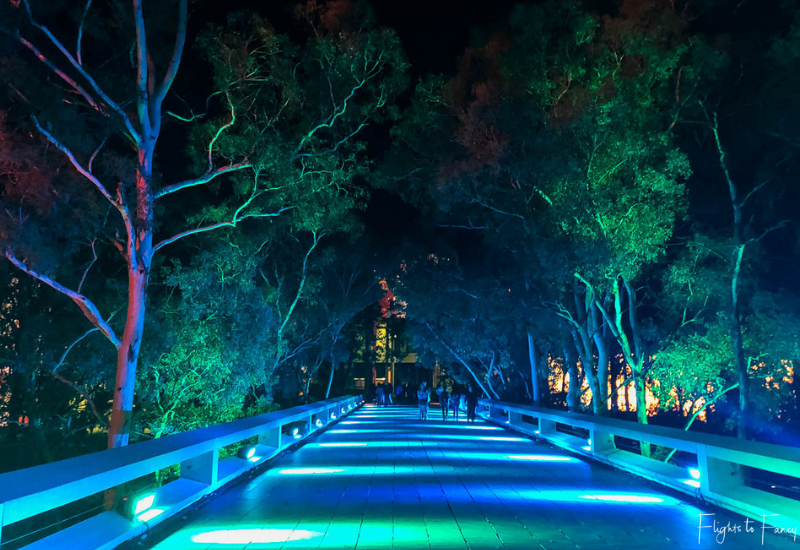 Canberra Enlighten - 2018 Illuminated Pathway